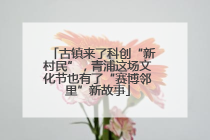 古镇来了科创“新村民”，青浦这场文化节也有了“赛博邻里”新故事