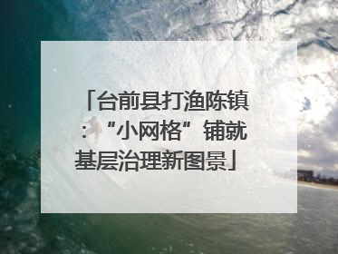 台前县打渔陈镇：“小网格”铺就基层治理新图景