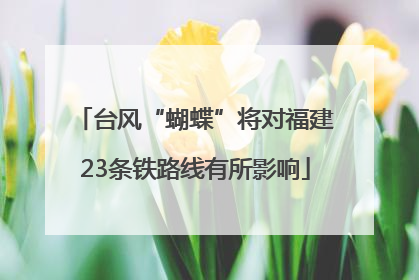 台风“蝴蝶”将对福建23条铁路线有所影响