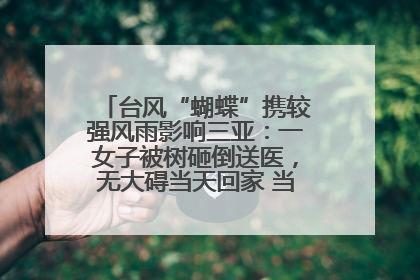 台风“蝴蝶”携较强风雨影响三亚：一女子被树砸倒送医，无大碍当天回家 当地已紧急清障