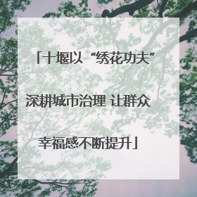 十堰以“绣花功夫”深耕城市治理 让群众幸福感不断提升