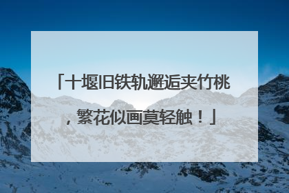 十堰旧铁轨邂逅夹竹桃，繁花似画莫轻触！