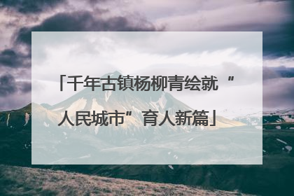 千年古镇杨柳青绘就“人民城市”育人新篇