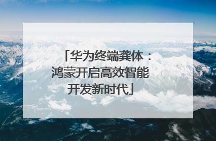 华为终端龚体：鸿蒙开启高效智能开发新时代