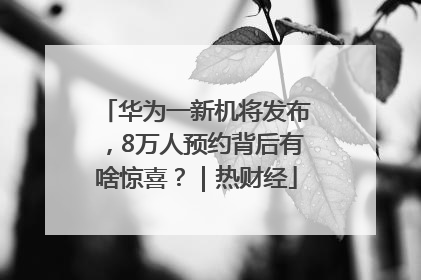华为一新机将发布，8万人预约背后有啥惊喜？｜热财经