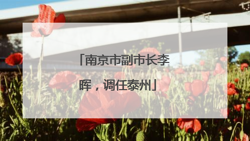 南京市副市长李晖，调任泰州