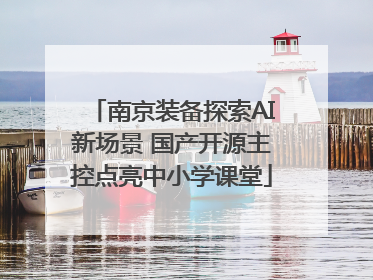 南京装备探索AI新场景 国产开源主控点亮中小学课堂