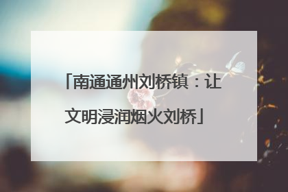 南通通州刘桥镇：让文明浸润烟火刘桥