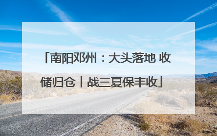 南阳邓州：大头落地 收储归仓丨战三夏保丰收