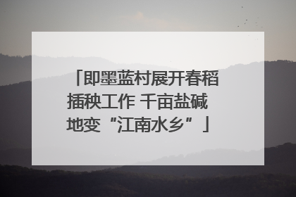 即墨蓝村展开春稻插秧工作 千亩盐碱地变“江南水乡”