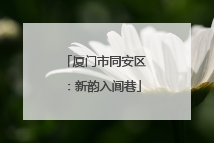 厦门市同安区：新韵入闾巷