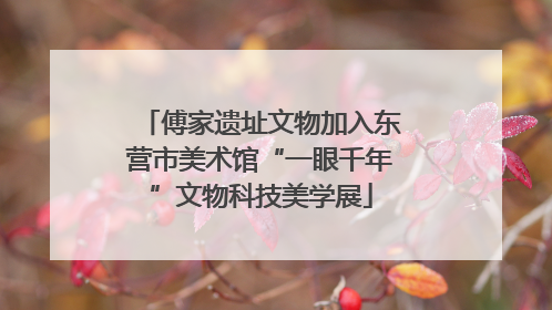 傅家遗址文物加入东营市美术馆“一眼千年”文物科技美学展