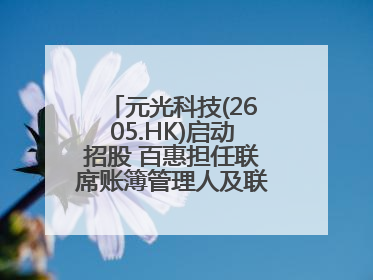 元光科技(2605.HK)启动招股 百惠担任联席账簿管理人及联席牵头经办人