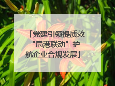 党建引领提质效 “局港联动”护航企业合规发展