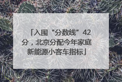 入围“分数线”42分，北京分配今年家庭新能源小客车指标