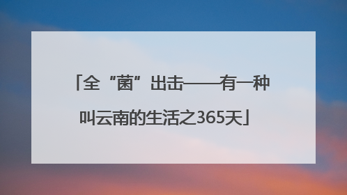 全“菌”出击——有一种叫云南的生活之365天
