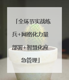 全环节实战练兵+网格化力量部署+智慧化应急管理