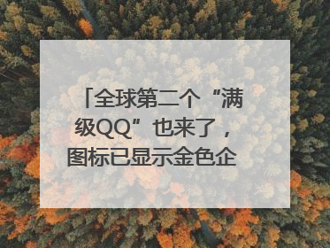 全球第二个“满级QQ”也来了，图标已显示金色企鹅，系首个“满级QQ”的小号