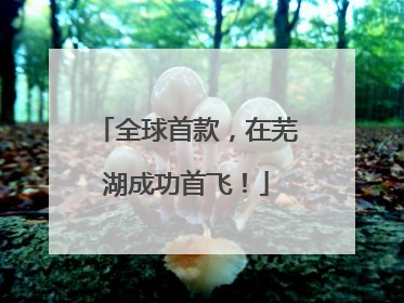 全球首款，在芜湖成功首飞！