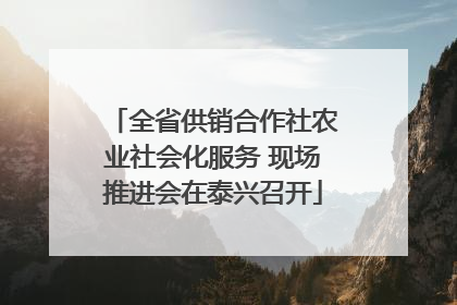 全省供销合作社农业社会化服务 现场推进会在泰兴召开