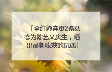 全红婵连更2条动态为陈艺文庆生，晒出最新收获的玩偶