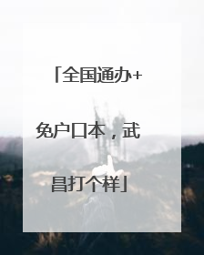全国通办+免户口本，武昌打个样