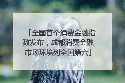 全国首个消费金融指数发布，成都消费金融市场环境列全国第六