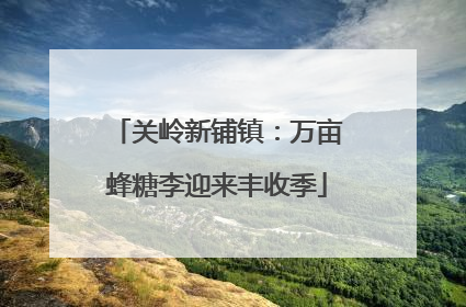 关岭新铺镇：万亩蜂糖李迎来丰收季