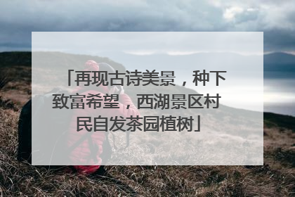 再现古诗美景，种下致富希望，西湖景区村民自发茶园植树