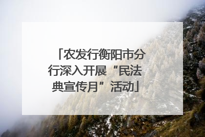 农发行衡阳市分行深入开展“民法典宣传月”活动