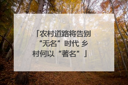 农村道路将告别“无名”时代 乡村何以“著名”