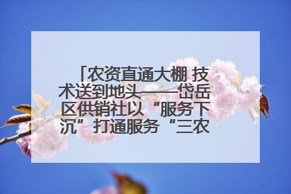 农资直通大棚 技术送到地头——岱岳区供销社以“服务下沉”打通服务“三农”最后一公里