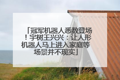 冠军机器人悉数登场！宇树王兴兴：让人形机器人马上进入家庭等场景并不现实