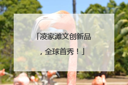 凌家滩文创新品，全球首秀！