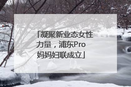 凝聚新业态女性力量，浦东Pro妈妈妇联成立