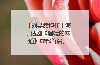 刘昊然担任主演，话剧《温暖的味道》成都首演
