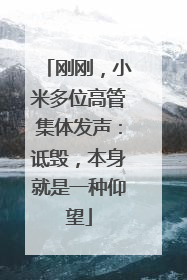 刚刚，小米多位高管集体发声：诋毁，本身就是一种仰望
