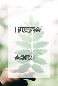 初夏洒金香飘散