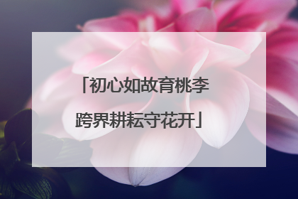初心如故育桃李 跨界耕耘守花开