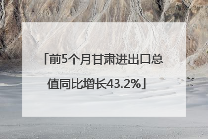 前5个月甘肃进出口总值同比增长43.2%