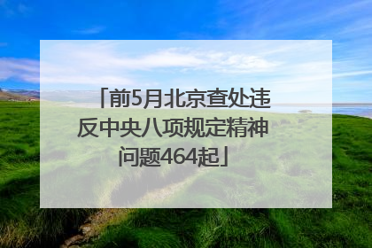 前5月北京查处违反中央八项规定精神问题464起