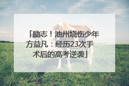 励志！池州烧伤少年方益凡：经历23次手术后的高考逆袭