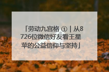 劳动九宫格 ①｜从8726位微信好友看王星苹的公益信仰与坚持