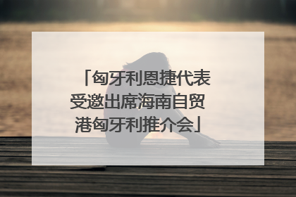 匈牙利恩捷代表受邀出席海南自贸港匈牙利推介会