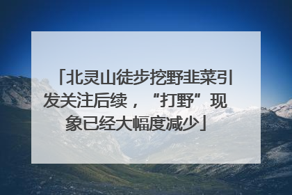 北灵山徒步挖野韭菜引发关注后续，“打野”现象已经大幅度减少