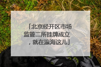 北京经开区市场监管二所挂牌成立，就在瀛海这儿
