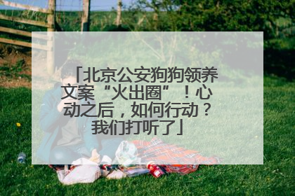 北京公安狗狗领养文案“火出圈”！心动之后，如何行动？我们打听了