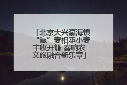 北京大兴瀛海镇“瀛”麦相承小麦丰收开镰 奏响农文旅融合新乐章