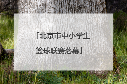 北京市中小学生篮球联赛落幕