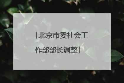 北京市委社会工作部部长调整